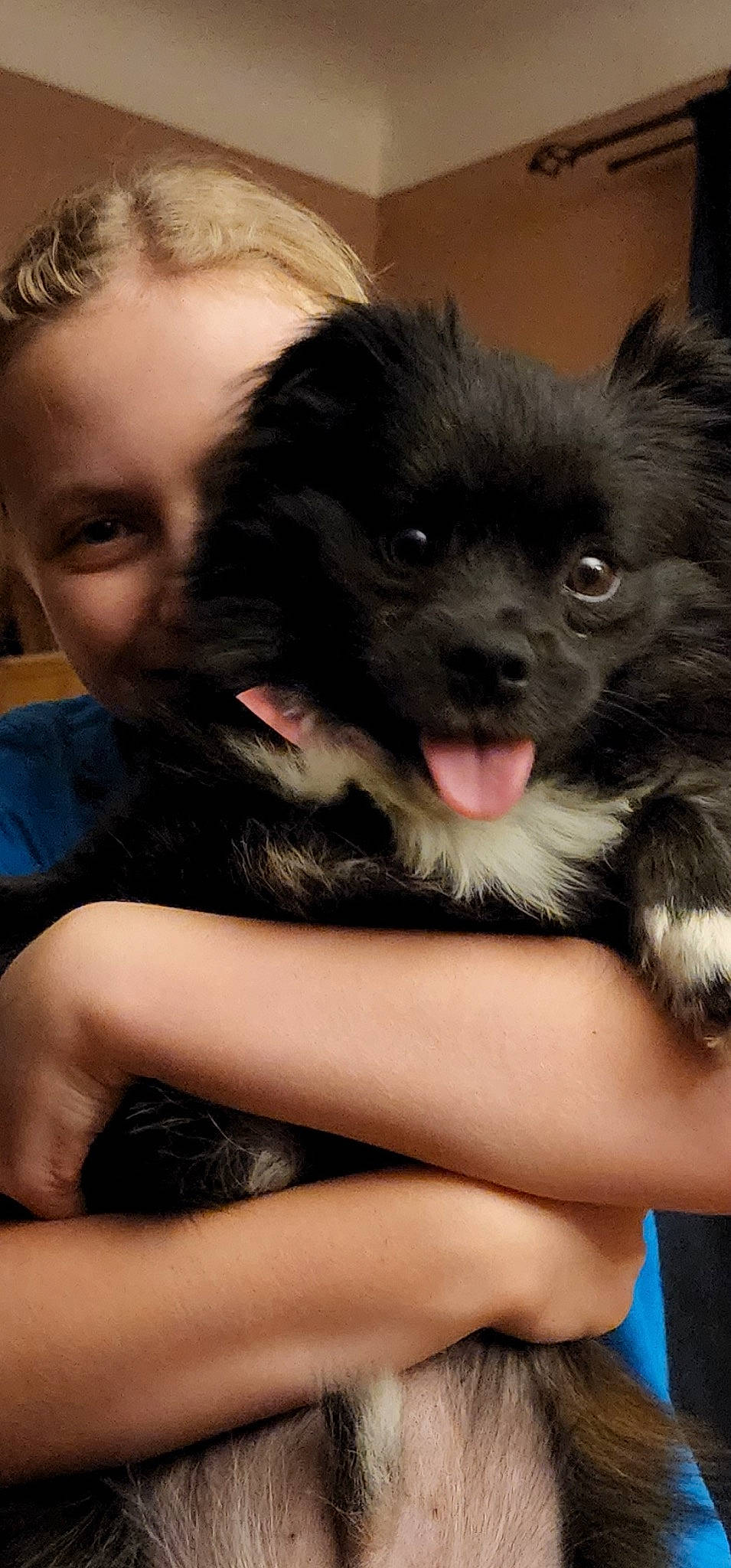 Cerberus joined the competition — help win amazing prizes! canidae, carnivore, comfort, companion_dog, dog, dog_breed, foot, fur, gesture, happy, nail, paw, sitting, snout, sporting_group, terrestrial_animal, toddler, toy_dog, working_animal, working_dog