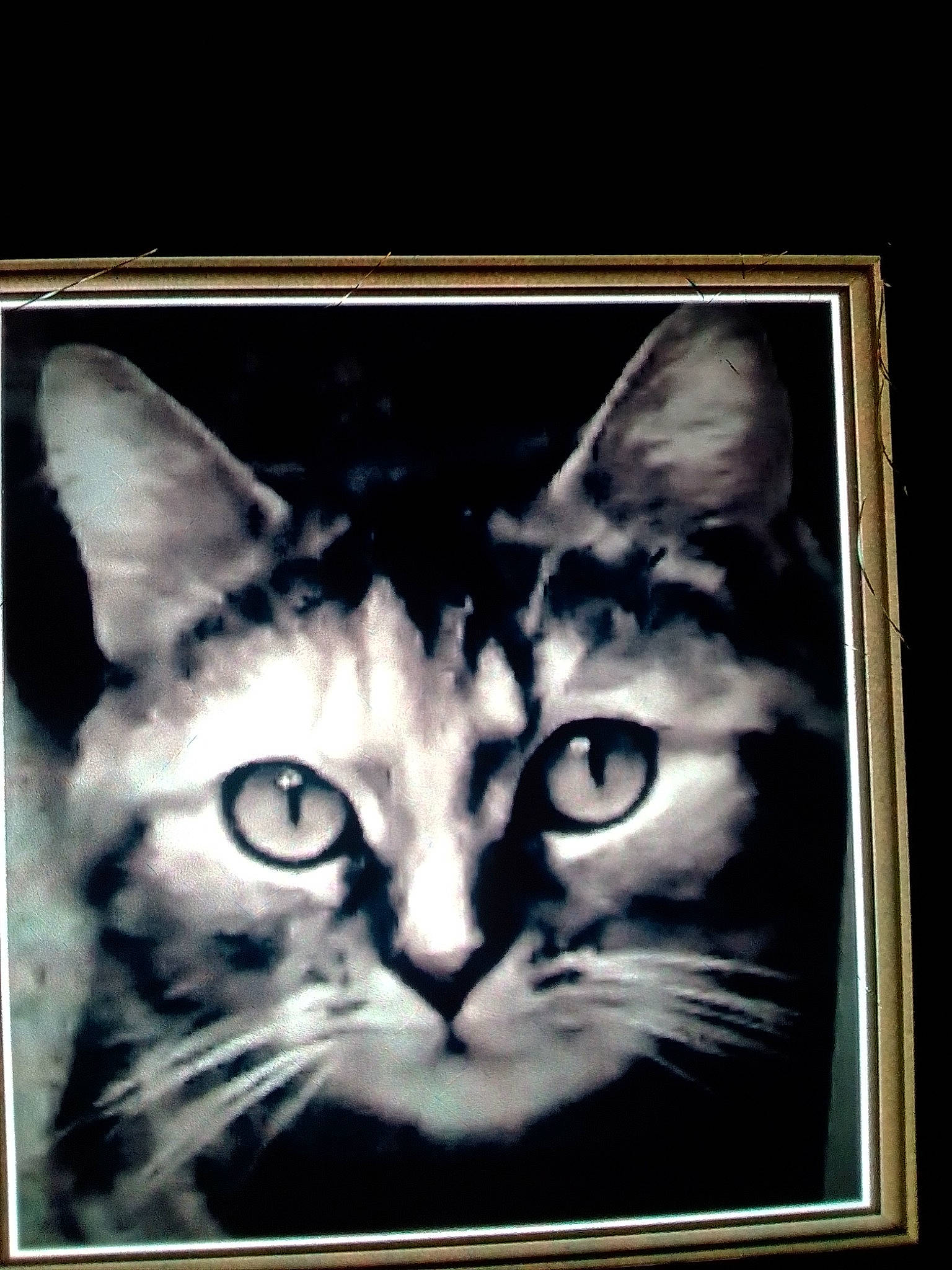 Bélla a rejoint le concours — aidez-le/la à gagner de superbes lots ! american_shorthair, american_wirehair, asian, california_spangled, carnivore, cat, domestic_short_haired_cat, european_shorthair, felidae, kitten, ocicat, ojos_azules, painting, photo_caption, picture_frame, small_to_medium_sized_cats, snout, square, tabby_cat, whiskers