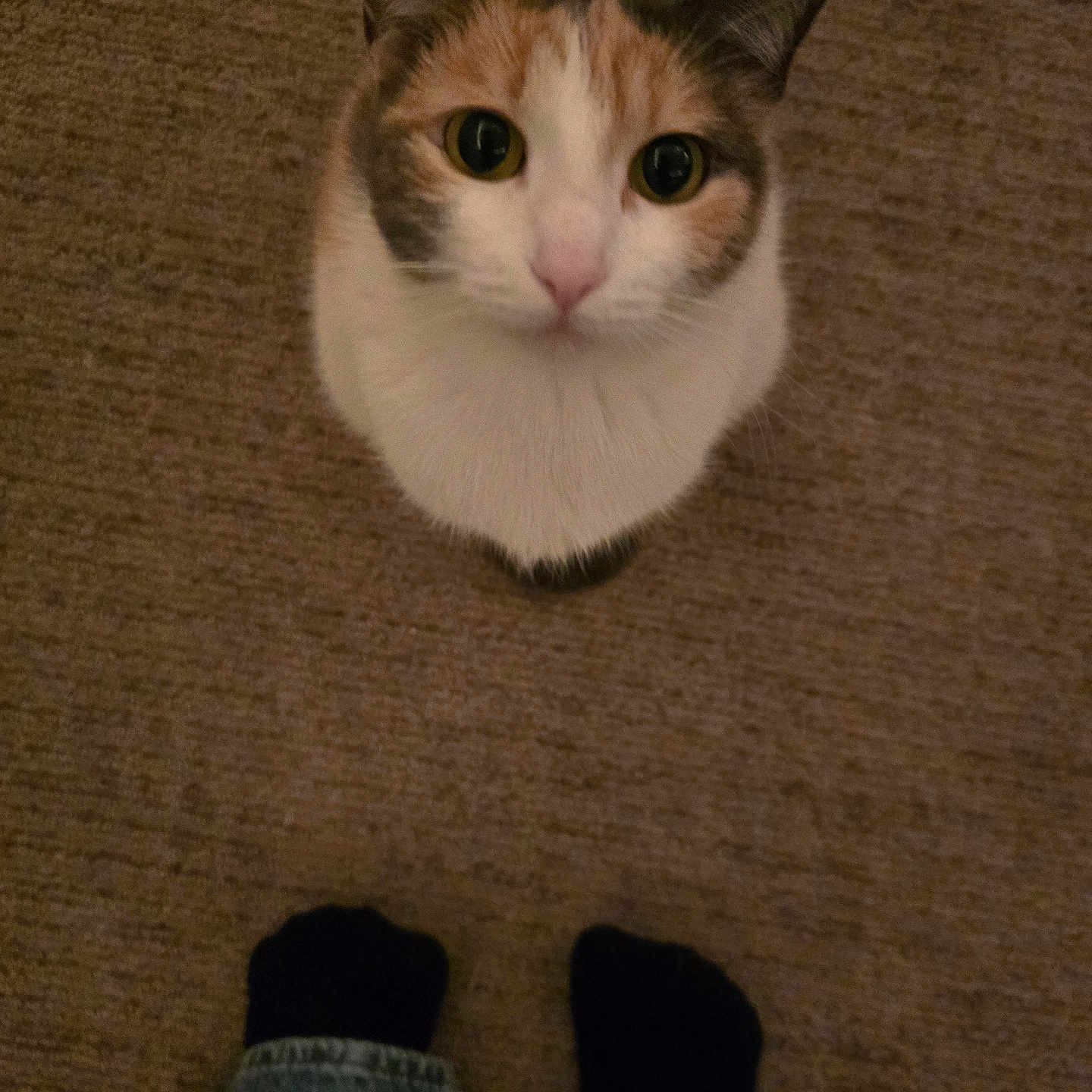 Hermione