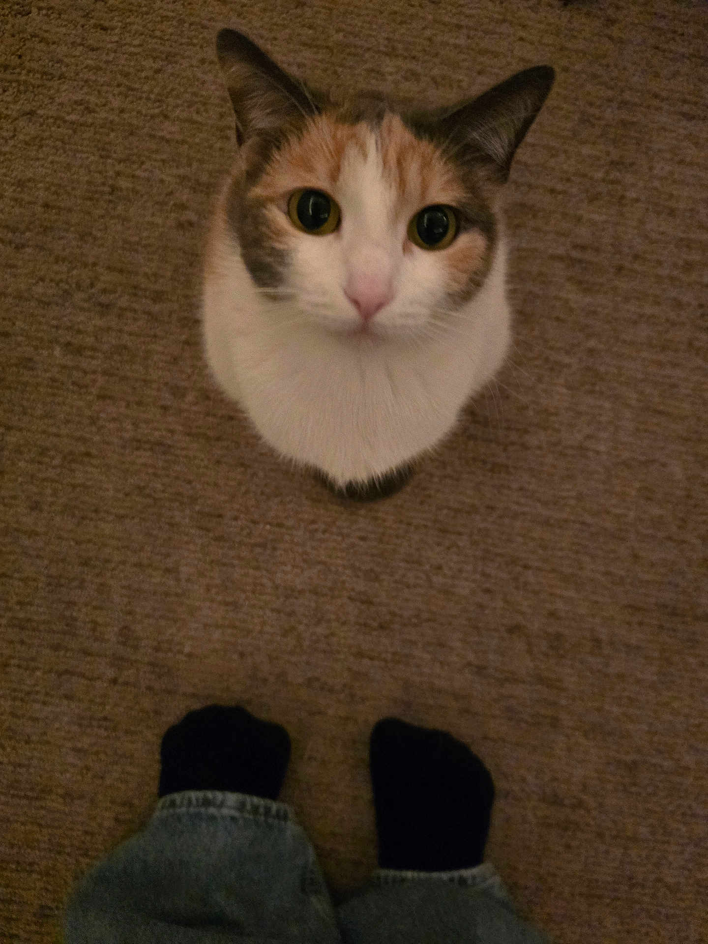 Hermione