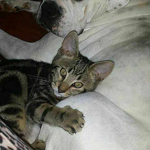 Olly joined the competition — help win amazing prizes!