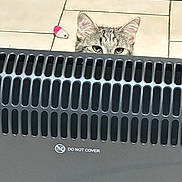 Pupuce a rejoint le concours — aidez-le/la à gagner de superbes lots ! cat, tabby, peeking, heater, vent, toy_mouse, floor, tile, curious, ears, eyes, indoor, pet, animal, playful, feline, home, domestic, cute, quiet