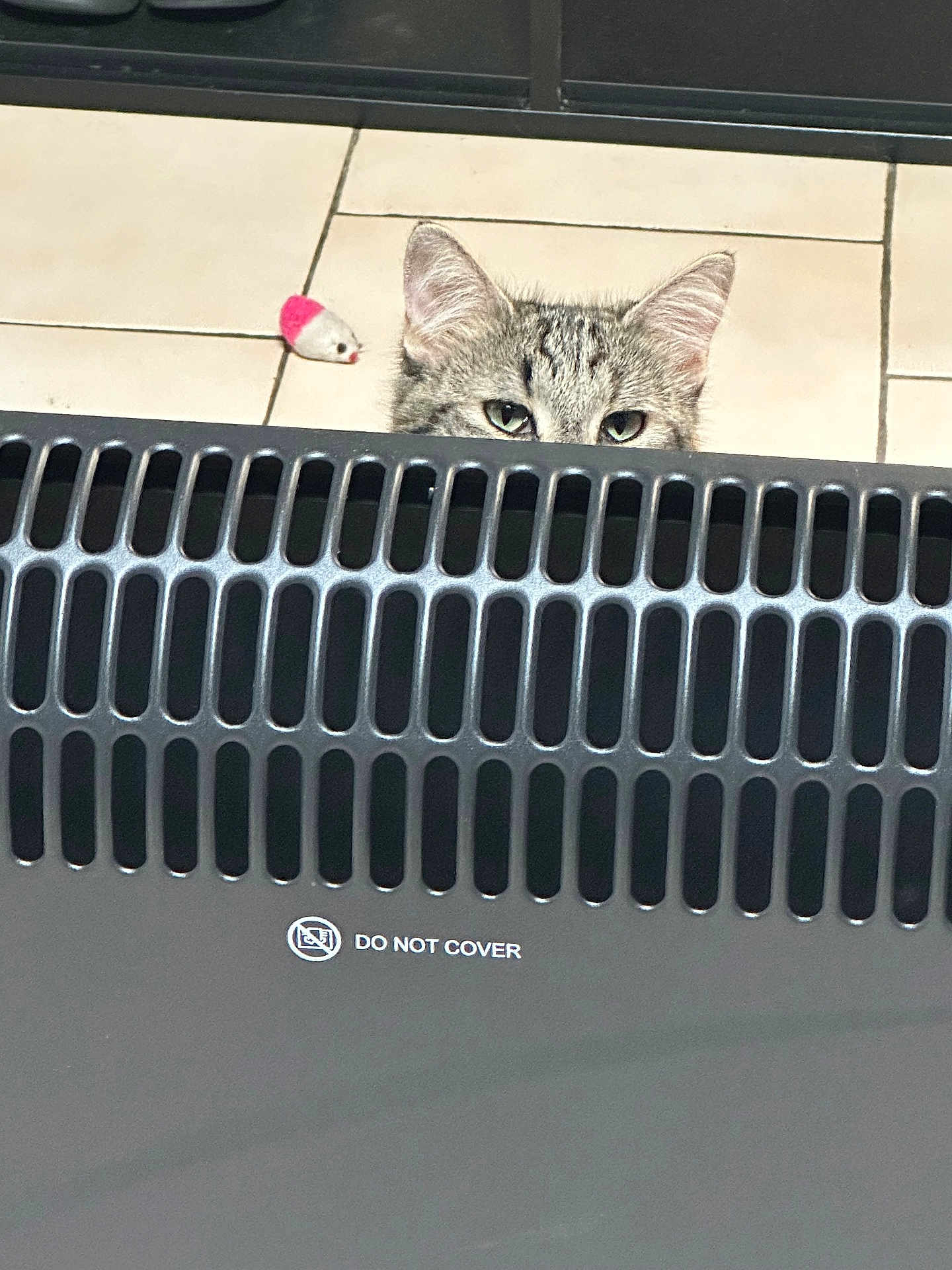 Pupuce a rejoint le concours — aidez-le/la à gagner de superbes lots ! cat, tabby, peeking, heater, vent, toy_mouse, floor, tile, curious, ears, eyes, indoor, pet, animal, playful, feline, home, domestic, cute, quiet