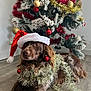 dog, christmas_tree, santa_hat, tinsel, ornaments, red_baubles, gold_baubles, holiday, festive, decorations, brown_dog, wooden_floor, indoor, pet, christmas, celebration, relaxed, holiday_season, fur, christmas_decor