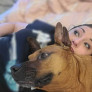 Princess joined the competition — help win amazing prizes! woman, dog, lying_down, close_up, brown_dog, ear, face, human, pet, indoor, relaxation, blurred_background, animal, companionship, casual, portrait, resting, bond, soft_light, cuddle