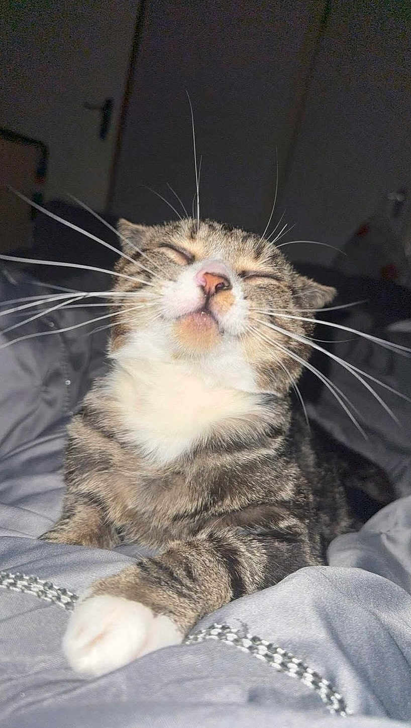 Snooze