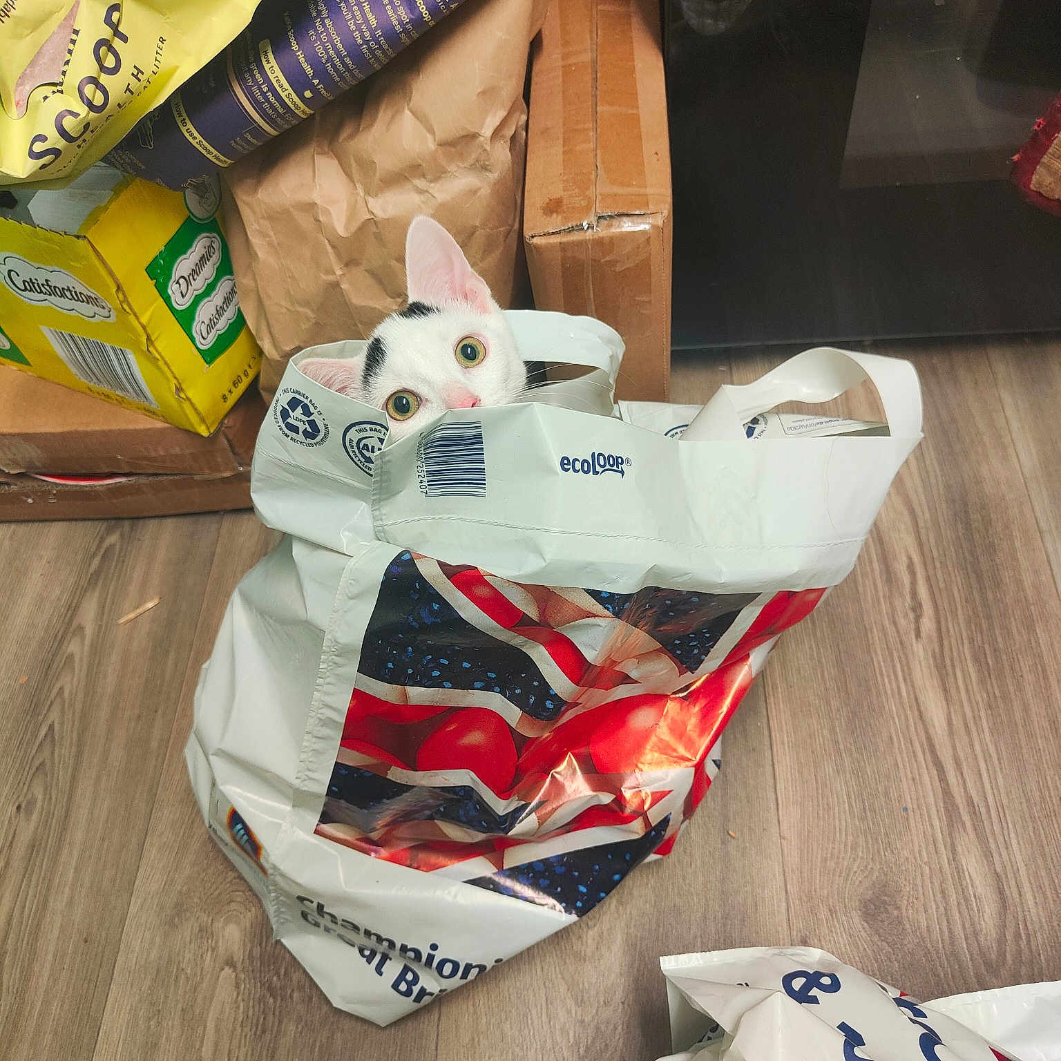 Rocky is registered to the contest to win money with this photo: auto_part, bag, carmine, comfort_food, creative_arts, fashion_accessory, font, packaging_and_labeling, packing_materials, paper, paper_product, pattern, personal_protective_equipment, plastic, wood