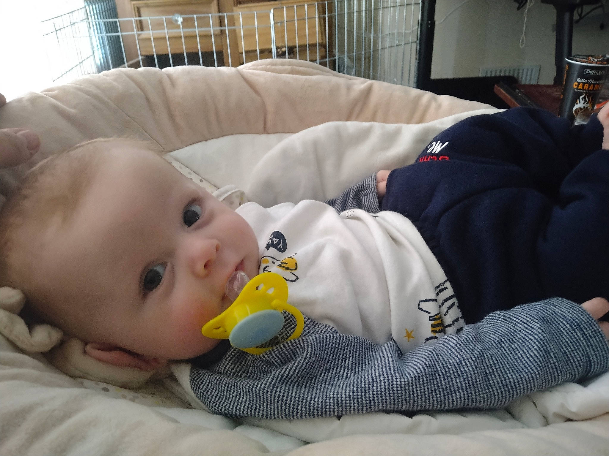 Kaycee Wall is registered to the contest to win money with this photo: baby, baby_products, baby_toddler_clothing, bedtime, child, comfort, couch, flooring, grass, linens, mammal, nap, person, room, sitting, sleep, toddler