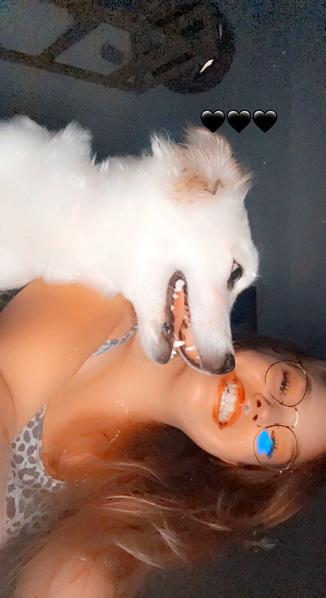 Surprise participe au concours pour gagner de l'argent avec cette photo : body_jewelry, body_piercing, carnivore, dog_breed, dress, earrings, eye_liner, eye_shadow, eyelash, fawn, flash_photography, glasses, human_body, jaw, lip, lipstick, neck, shoulder, vision_care, whiskers