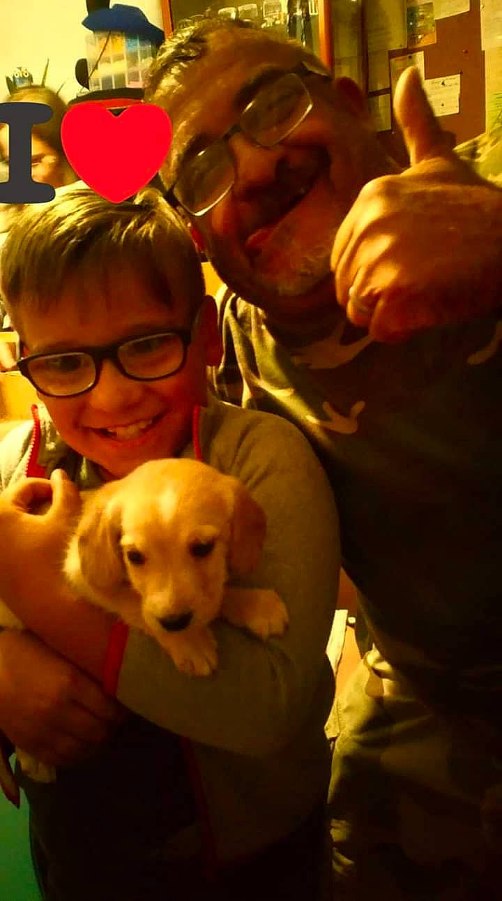 Bill a rejoint le concours — aidez-le/la à gagner de superbes lots ! canidae, carnivore, companion_dog, dog, dog_breed, ear, fawn, fun, golden_retriever, labrador_retriever, photography, puppy, puppy_love, retriever, smile, sporting_group, yellow