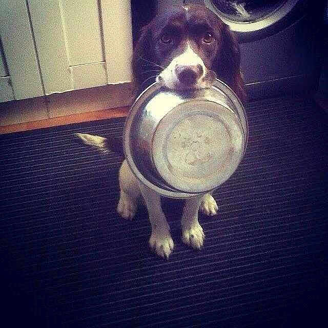 Daisy joined the competition — help win amazing prizes!