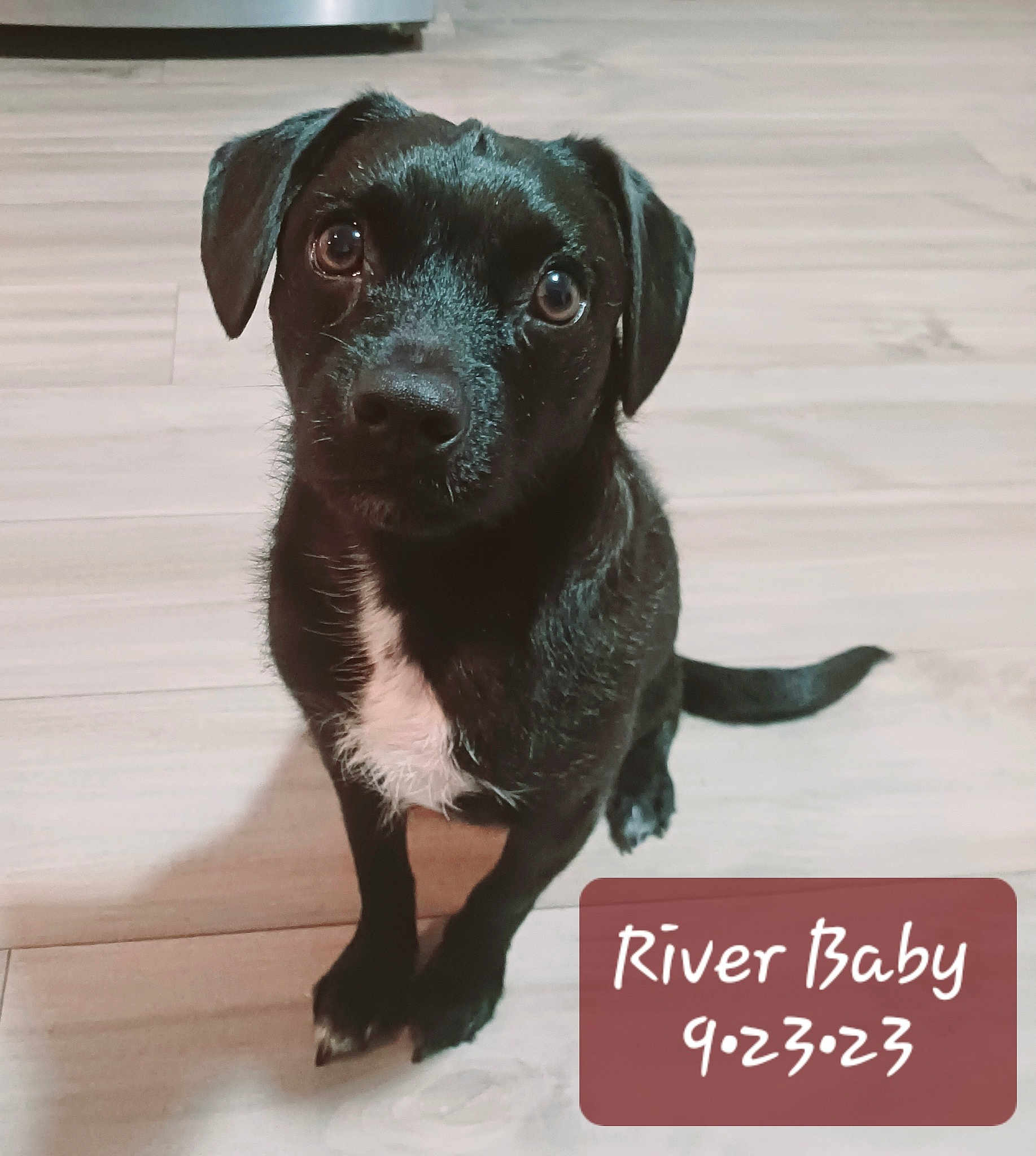 River Parker Ryan
