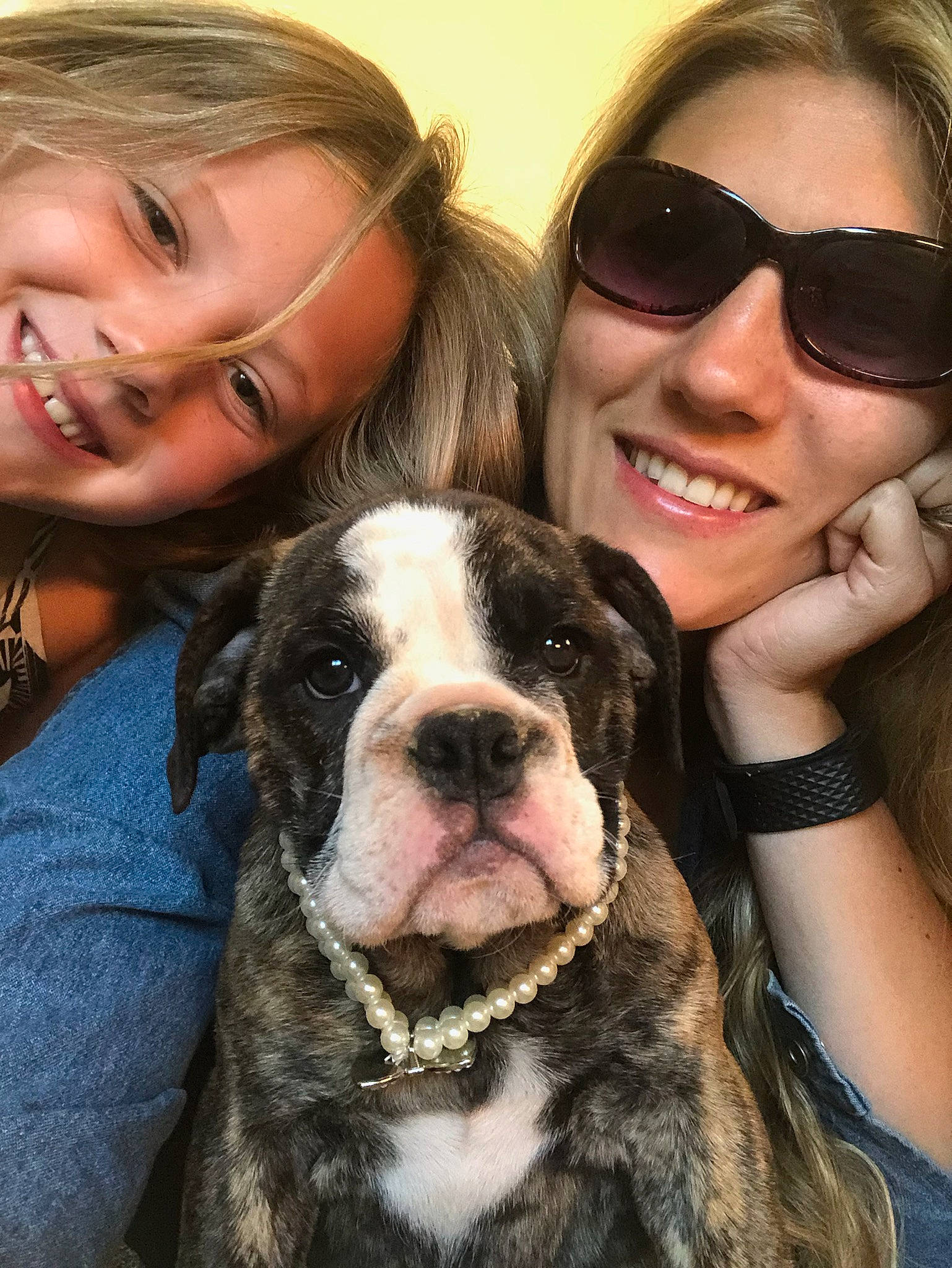 Bernice is registered to the contest to win money with this photo: american_bulldog, bulldog, canidae, carnivore, companion_dog, dog, dog_breed, fawn, mammal, non_sporting_group, old_english_bulldog, olde_english_bulldogge, photography, pit_bull, puppy_love, rare_breed_dog, selfie, snout, valley_bulldog, vertebrate