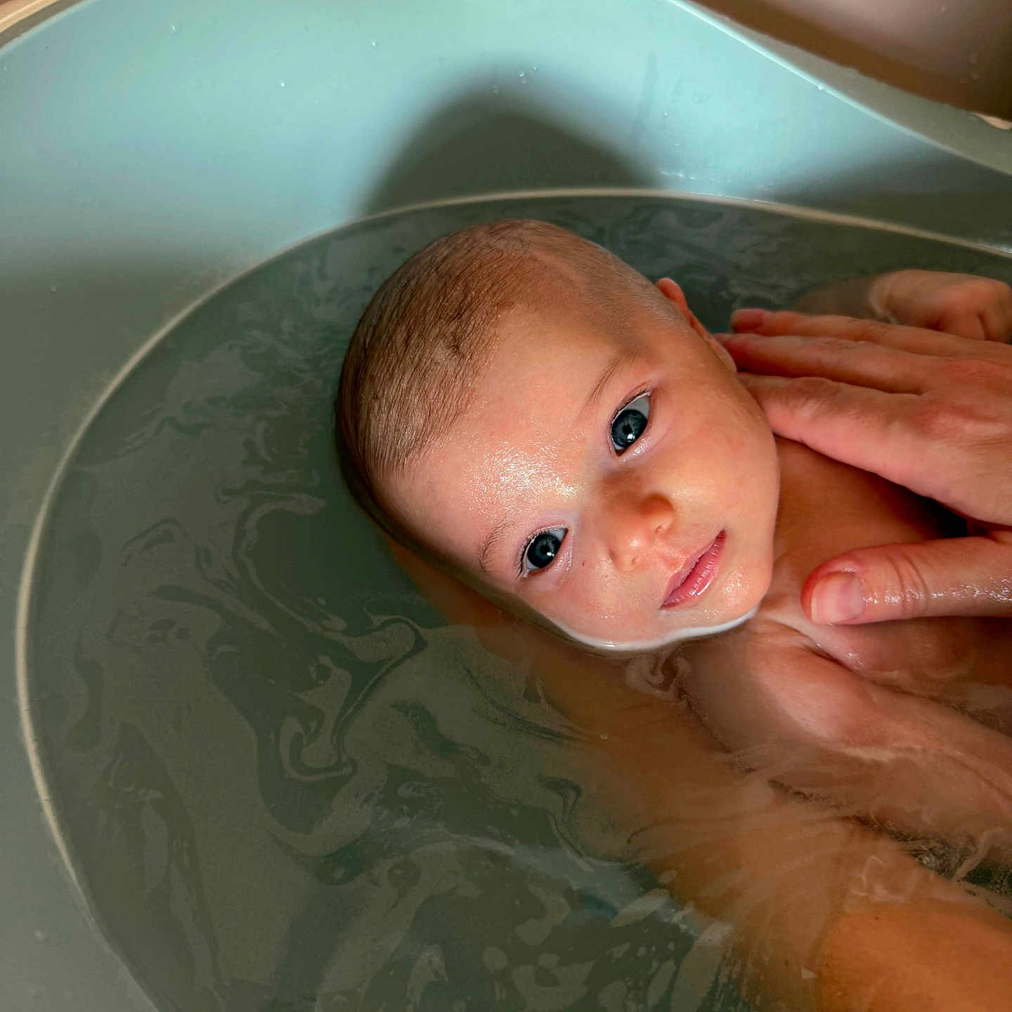 Lou a rejoint le concours — aidez-le/la à gagner de superbes lots ! baby, bathing, bathtub, bodypart, face, finger, hand, head, person, photography, plate, portrait, tub, washing