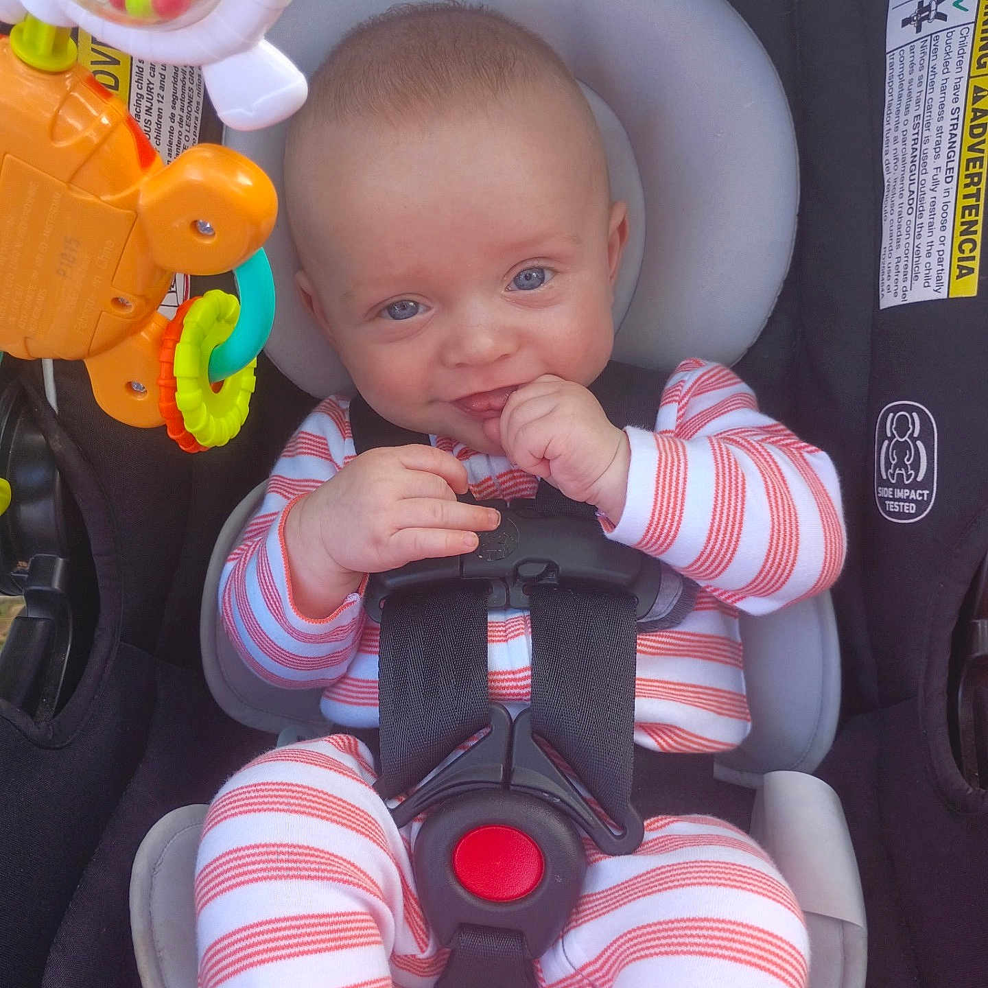 Elijah joined the competition — help win amazing prizes! baby, child, car_seat, toy, striped_clothing, infant, seatbelt, playful, cute, indoor, smiling, hand, face, blue_eyes, sitting, comfort, colorful, safety, young_child, clothing