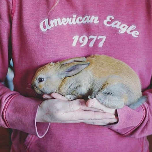 Thumper