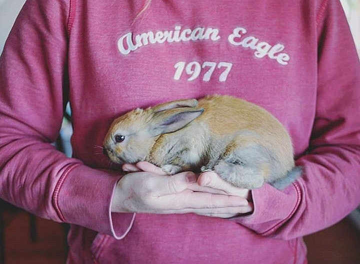 Thumper