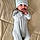 Jaxson