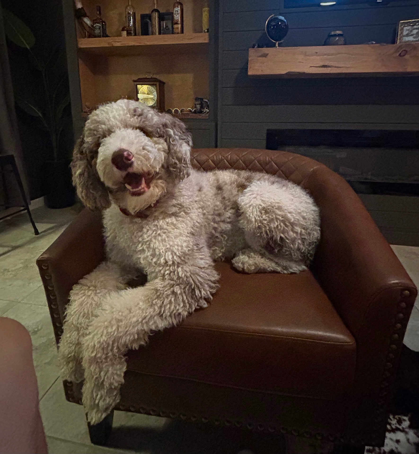 Murphy