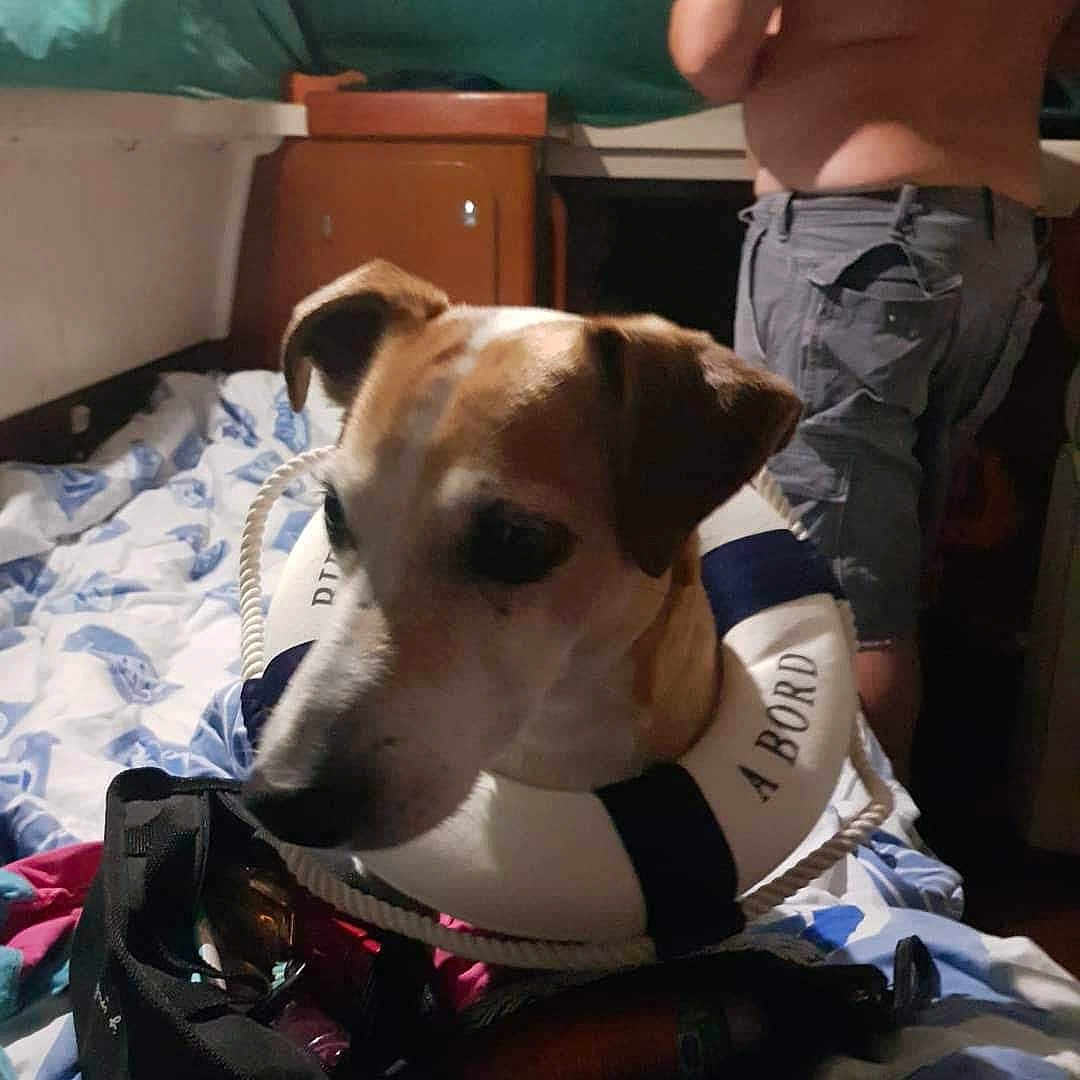 Dexter