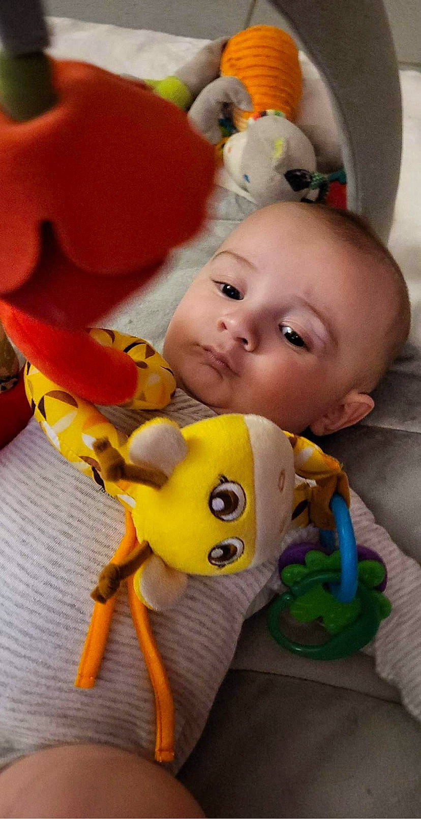 Alban participe au concours pour gagner de l'argent avec cette photo : art, baby, baby_products, baby_toddler_clothing, baby_toys, cheek, child, doll, figurine, fun, happy, orange, person, play, plush, room, skin, stuffed_toy, toddler, toy