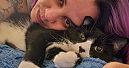 Latte is registered to the contest to win money with this photo: person, cat, animal, pet, closeup, purple_hair, black_and_white_cat, face, tattoo, blanket, indoor, resting, snuggling, cute, whiskers, nose_ring, eyelashes, fur, relaxation, intimacy