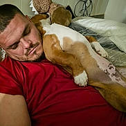 Rocco is registered to the contest to win money with this photo: animal, bed, blanket, canine, casual, comfort, dog, face, friendship, furniture, home, human, indoor, man, nap, pet, red_shirt, relaxation, resting, sleeping