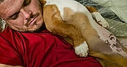 Rocco is registered to the contest to win money with this photo: animal, bed, blanket, canine, casual, comfort, dog, face, friendship, furniture, home, human, indoor, man, nap, pet, red_shirt, relaxation, resting, sleeping