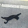 Cop participe au concours pour gagner de l'argent avec cette photo : black_cat, cat, animal, pet, stretching, sidewalk, pavement, road_marking, urban, outdoor, feline, street, curled_tail, relaxed, daylight, concrete, texture, lonely, quiet, nature