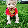 baby, child, grass, outdoor, crawling, red_shirt, blue_eyes, face, smile, garden, bench, house, greenery, person, portrait, cute, young_child, nature, daylight, closeup
