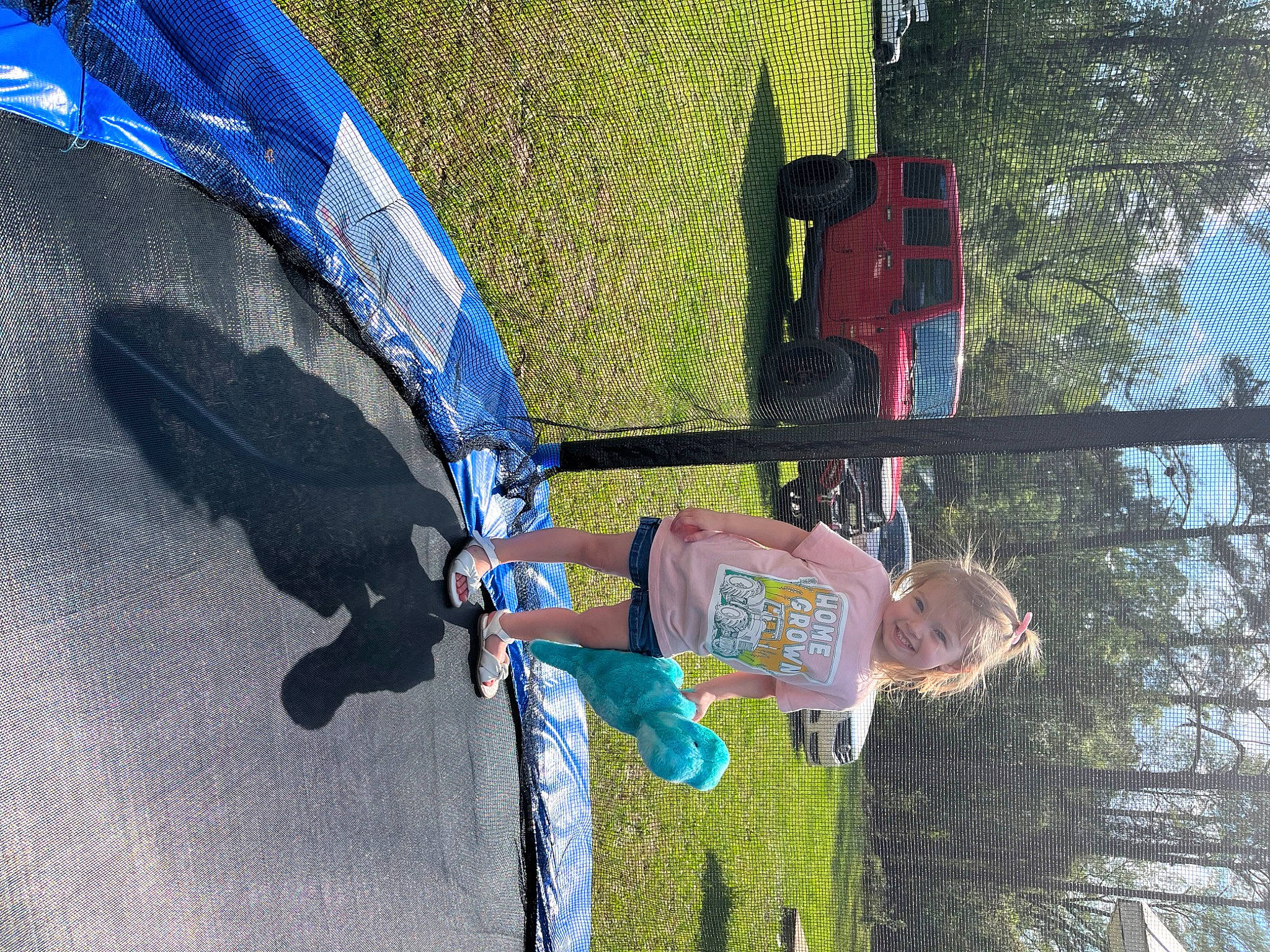 Cali joined the competition — help win amazing prizes! adventure, automotive_tire, car, electric_blue, extreme_sport, fun, grass, joy, leisure, person, plant, recreation, rope, sky, sport_climbing, tire, toddler, tree, vehicle, vehicle_door