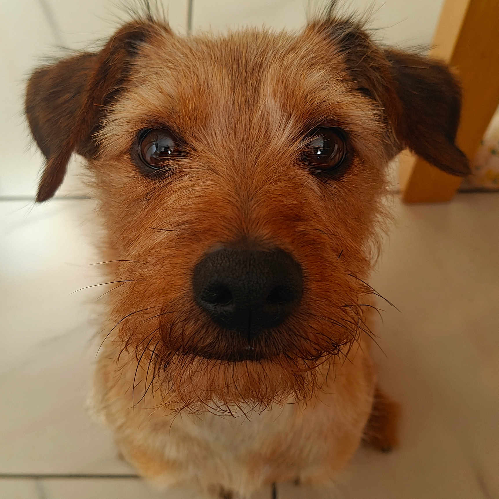 Rusty