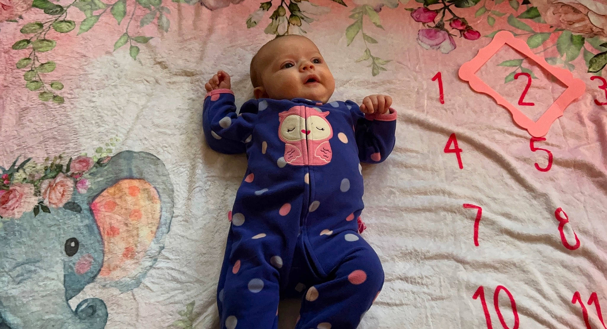 Emberlee is registered to the contest to win money with this photo: baby, baby_products, baby_toddler_clothing, baby_toys, carmine, cheek, child, eye, happy, head, linens, pattern, person, pink, room, sleeve, smile, textile, toddler, tree