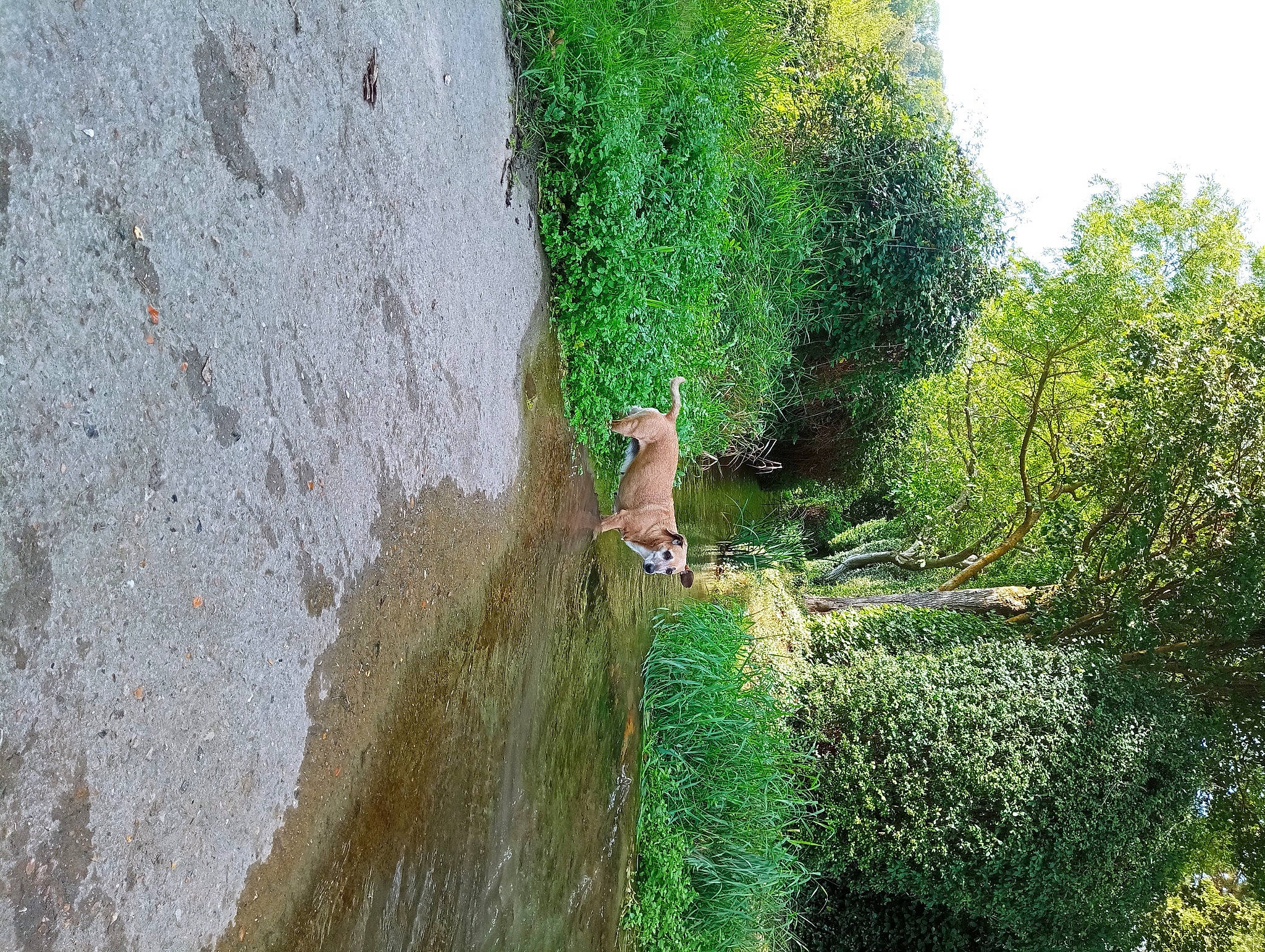 Nini participe au concours pour gagner de l'argent avec cette photo : bedrock, grass, groundcover, landscape, non_vascular_land_plant, people_in_nature, plant, recreation, road, rock, shadow, shrub, shrubland, sky, slope, soil, trail, tree, watercourse, wood