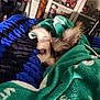 dog, blanket, green_blanket, blue_blanket, crocheted_blanket, indoor, pet, cozy, fur, ears, curious, lying_down, shelving, wooden_post, decor, toy_car, bottle, face, resting, closeup