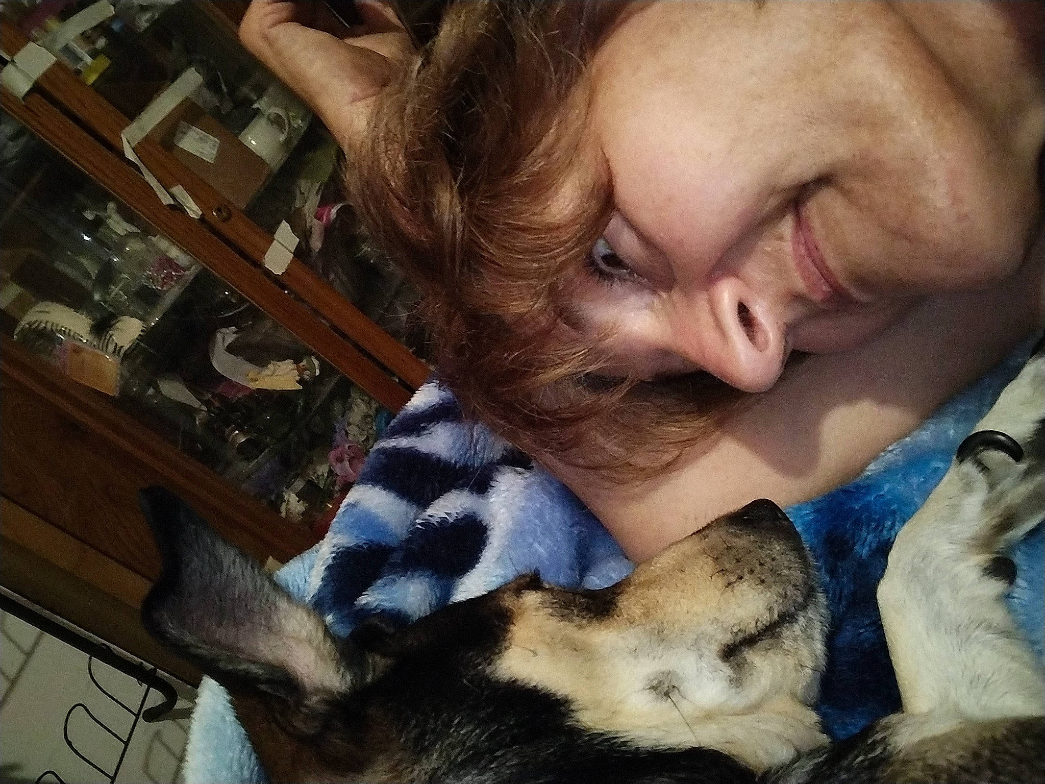 Bella is registered to the contest to win money with this photo: canidae, carnivore, child, comfort, companion_dog, dog_breed, ear, eyelash, fawn, felidae, fur, gesture, happy, nail, nose, paw, skin, small_to_medium_sized_cats, snout, whiskers