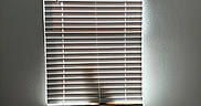Sunny joined the competition — help win amazing prizes! window_blinds, cat, shadow, basket, blanket, carpet, cat_toy, wall, indoor, home, lighting, shadow_play, pet, domestic, cozy, woven_basket, white_wall, floor, curtains, relaxation