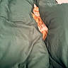cat, orange_cat, blanket, bedding, bed, indoor, sleeping, cozy, fur, pet, animal, resting, comfort, soft, fabric, domestic, cute, feline, relaxation, warm