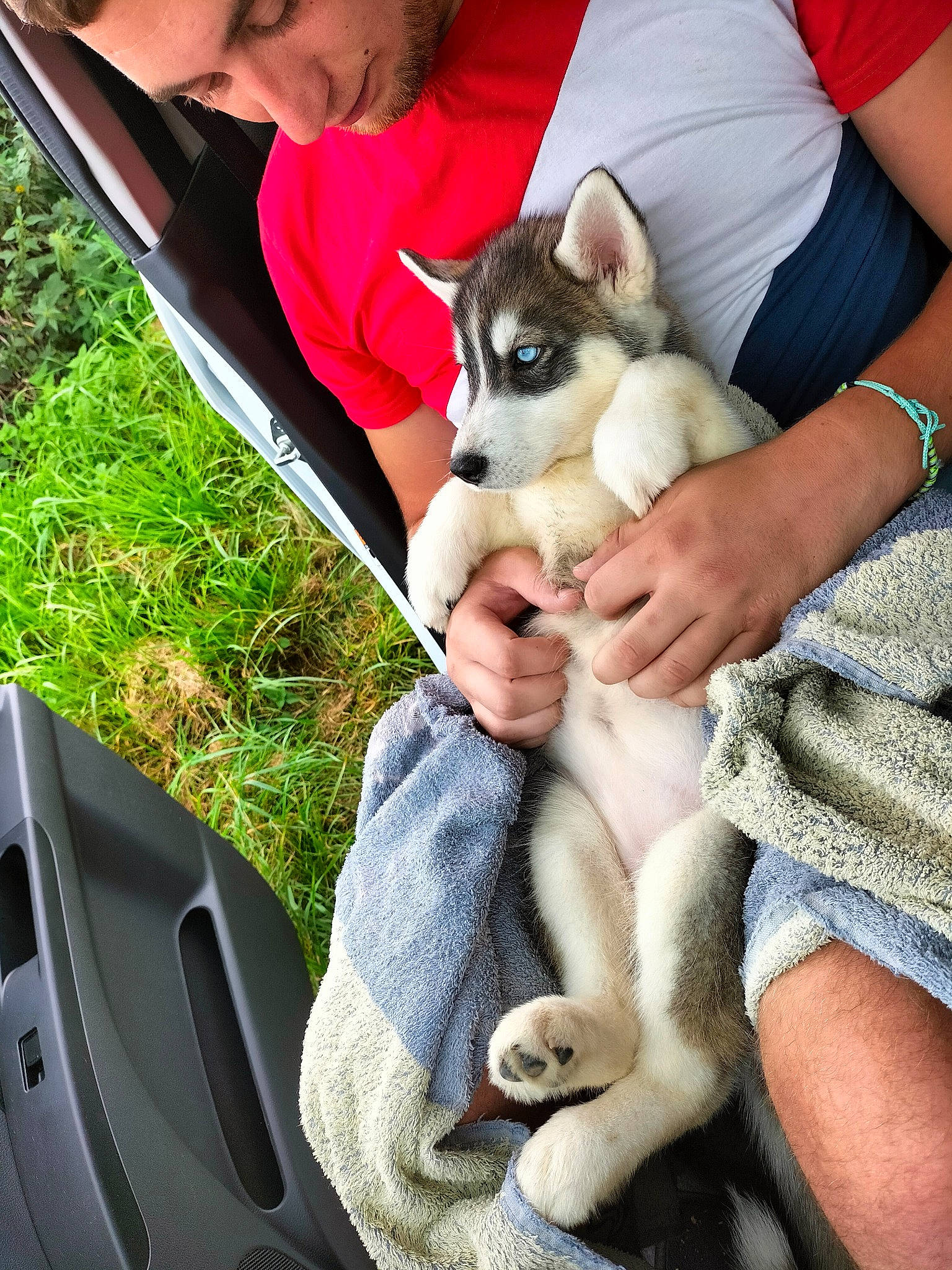 Naïka participe au concours pour gagner de l'argent avec cette photo : auto_part, automotive_exterior, automotive_window_part, canidae, carnivore, clothing, comfort, companion_dog, dog, dog_breed, eyewear, family_car, fawn, felidae, human_leg, sitting, snout, toy_dog, vehicle_door, windshield