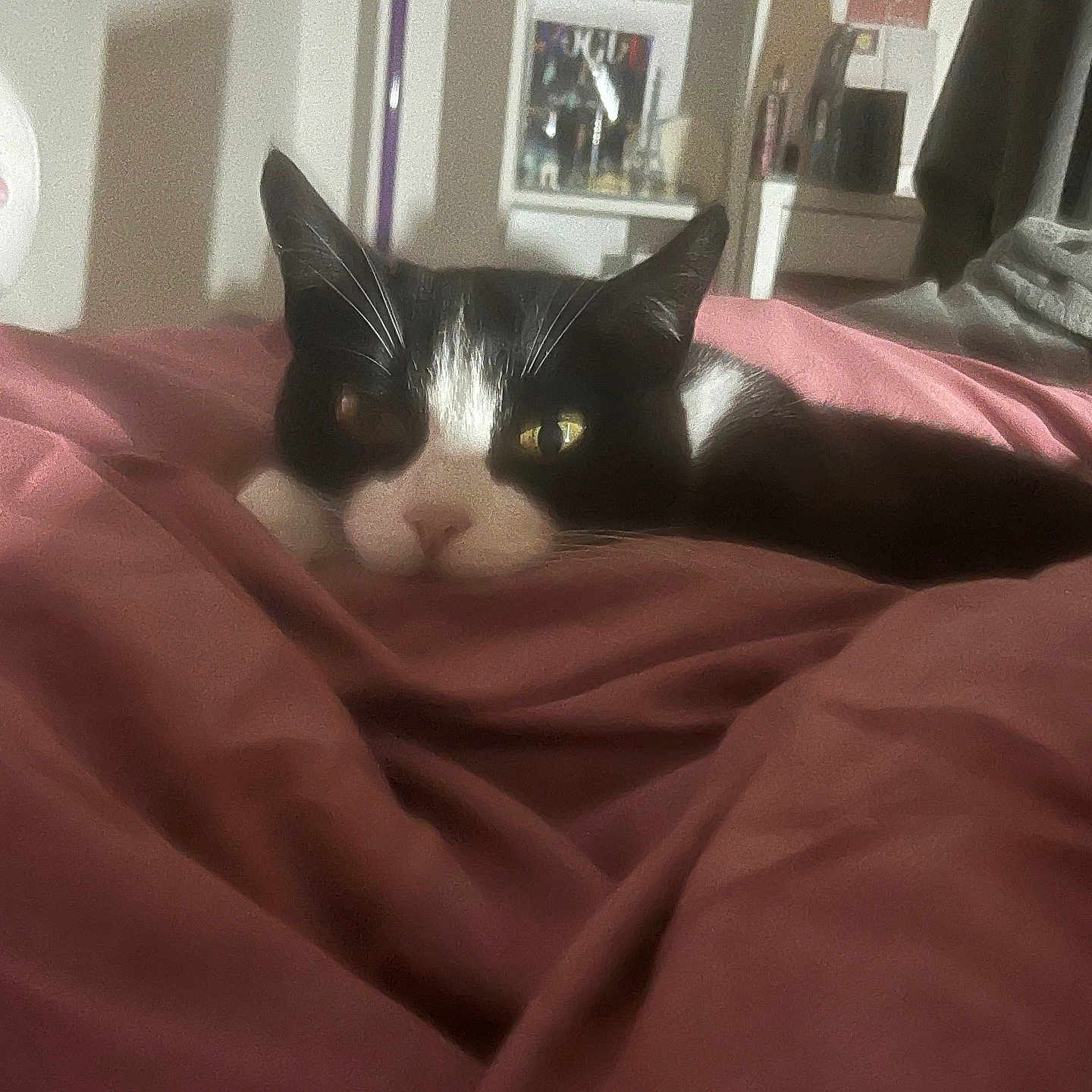 Mimi