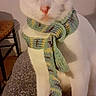 Loulou a rejoint le concours — aidez-le/la à gagner de superbes lots ! cat, white_cat, orange_patches, scarf, knitted_scarf, indoor, furniture, chair, curious, wide_eyes, pet, animal, cozy, looking, standing, patterned_surface, closeup, domestic_cat, cute, portrait