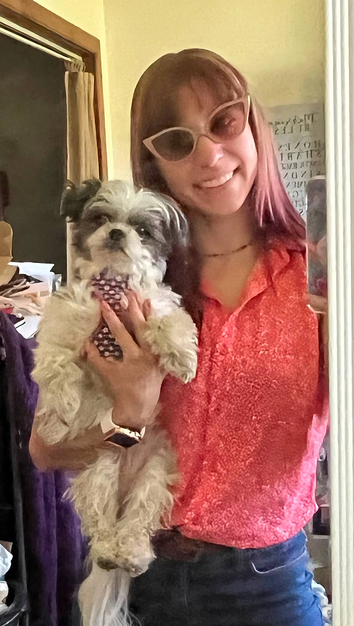 Mindy joined the competition — help win amazing prizes! blond, carnivore, companion_dog, dog, dog_breed, dog_supply, eyewear, fawn, fur, glasses, hair, liver, puppy_love, small_terrier, smile, terrier, toy_dog, vision_care, watch, working_animal