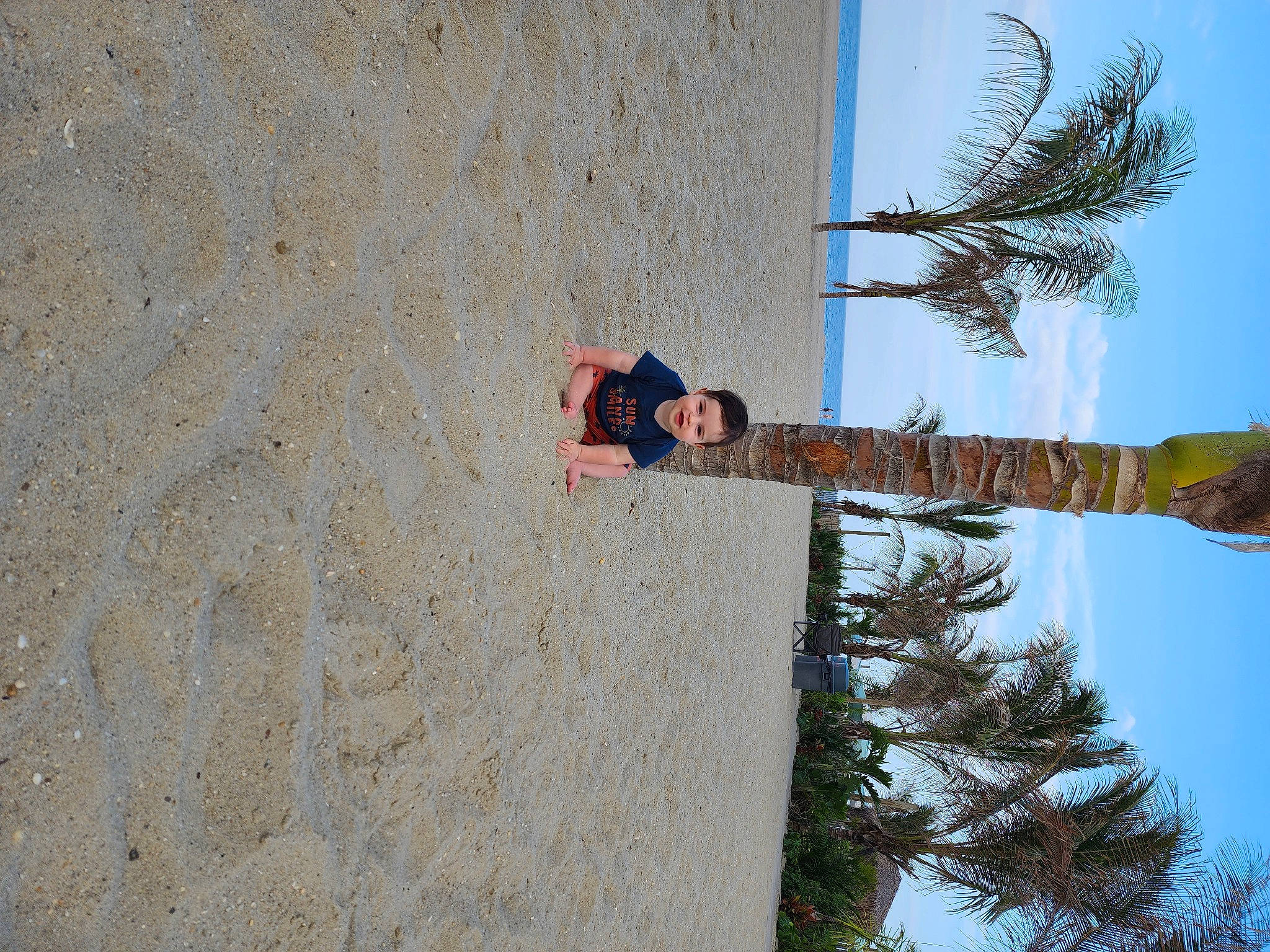 Albert is registered to the contest to win money with this photo: arecales, art, concrete, conifer, facade, fun, joy, landscape, leisure, person, plant, pole, reflection, shadow, sky, tree, trunk, twig, vacation, visual_arts