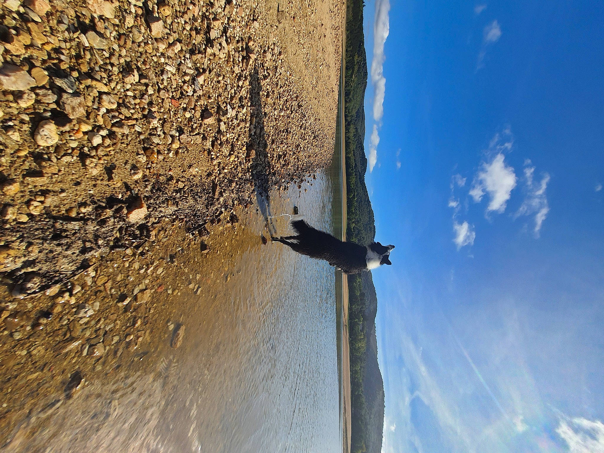 Oups a rejoint le concours — aidez-le/la à gagner de superbes lots ! asphalt, cloud, concrete, cumulus, electric_blue, landscape, reflection, road_surface, rock, sculpture, shadow, sky, soil, sunlight, symbol, tints_and_shades, trunk, water, wing, wood
