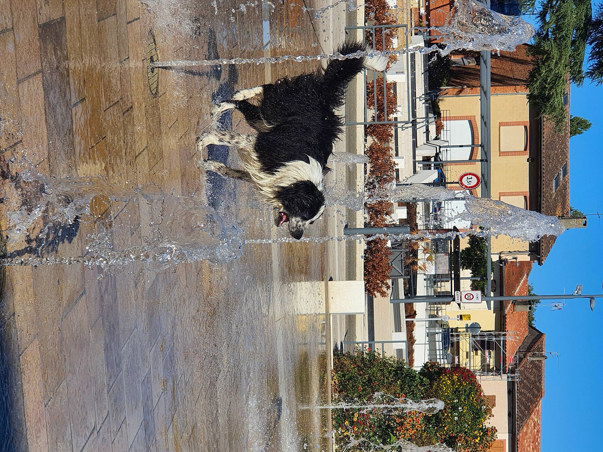 Oups a rejoint le concours — aidez-le/la à gagner de superbes lots ! art, building, city, door, facade, fountain, house, mixed_use, plant, reflection, shadow, sky, stairs, tree, urban_design, visual_arts, water, window, wood, world