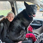 Rhea is registered to the contest to win money with this photo: dog, black_dog, girl, child, car_interior, vehicle, front_seat, window_view, parked_car, smile, pet, happy, collar, fur, plaid_pants, hand, seat, dashboard, outdoor, family