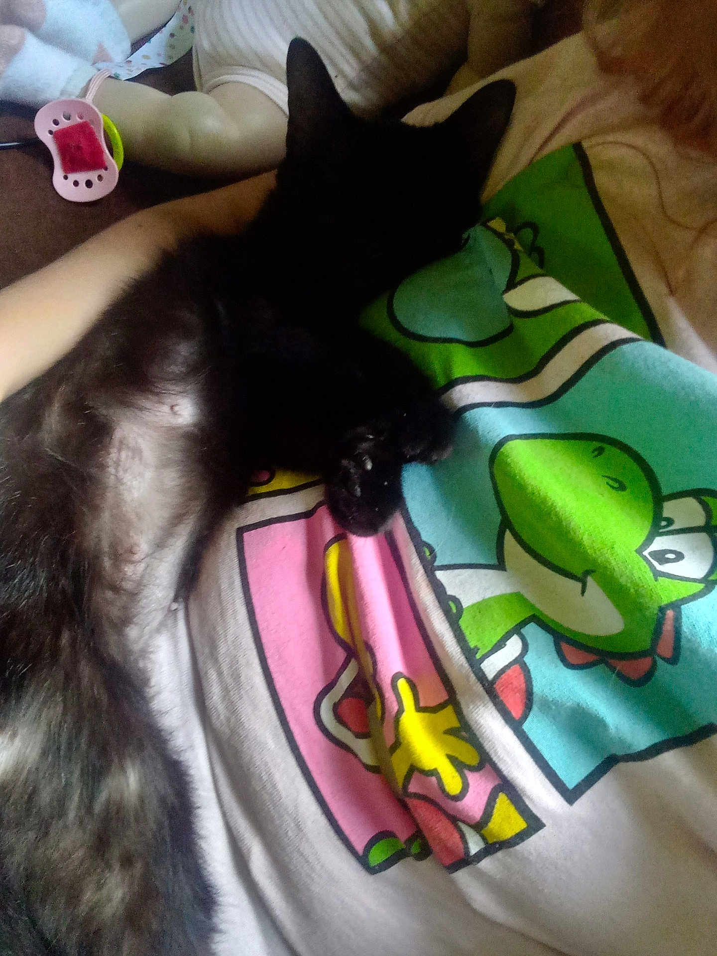 Daisy is registered to the contest to win money with this photo: black_cat, cat, sleeping, pet, animal, fur, paw, person, shirt, cartoon_print, colorful, indoor, resting, cute, relaxation, close_up, nap, domestic_animal, feline, cozy