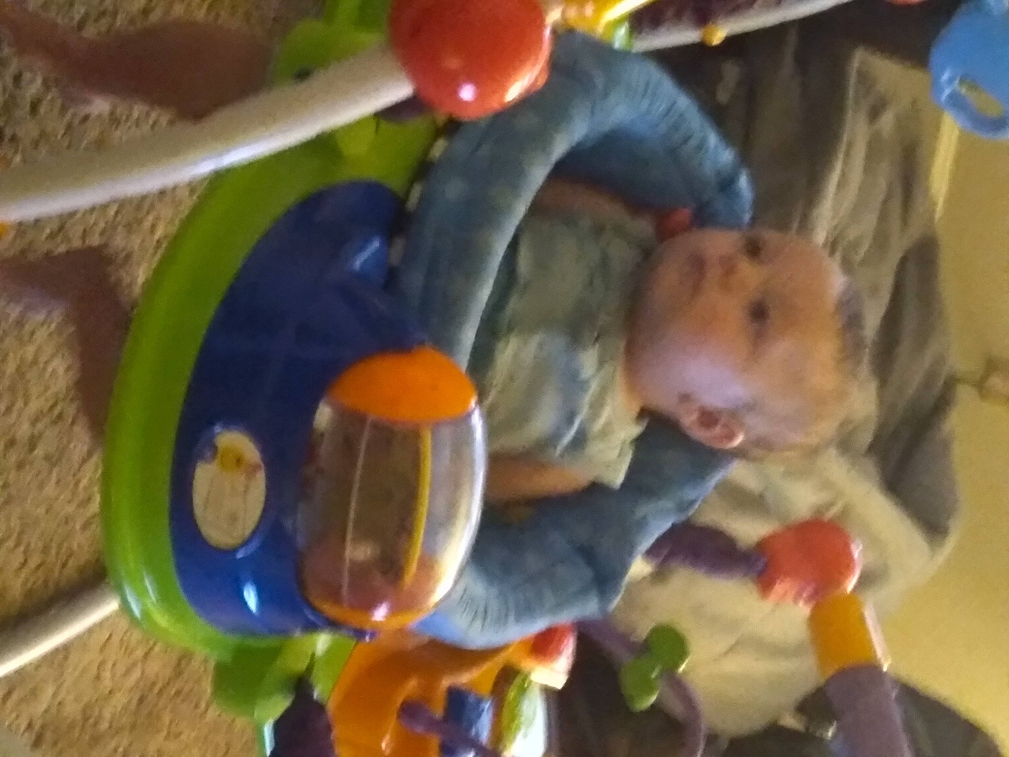 Branson joined the competition — help win amazing prizes! baby, baby_mobile, baby_products, baby_safety, baby_toddler_clothing, baby_toys, child, fun, happy, leisure, party_supply, person, plastic, play, room, toddler, toy, tree, vertebrate, water