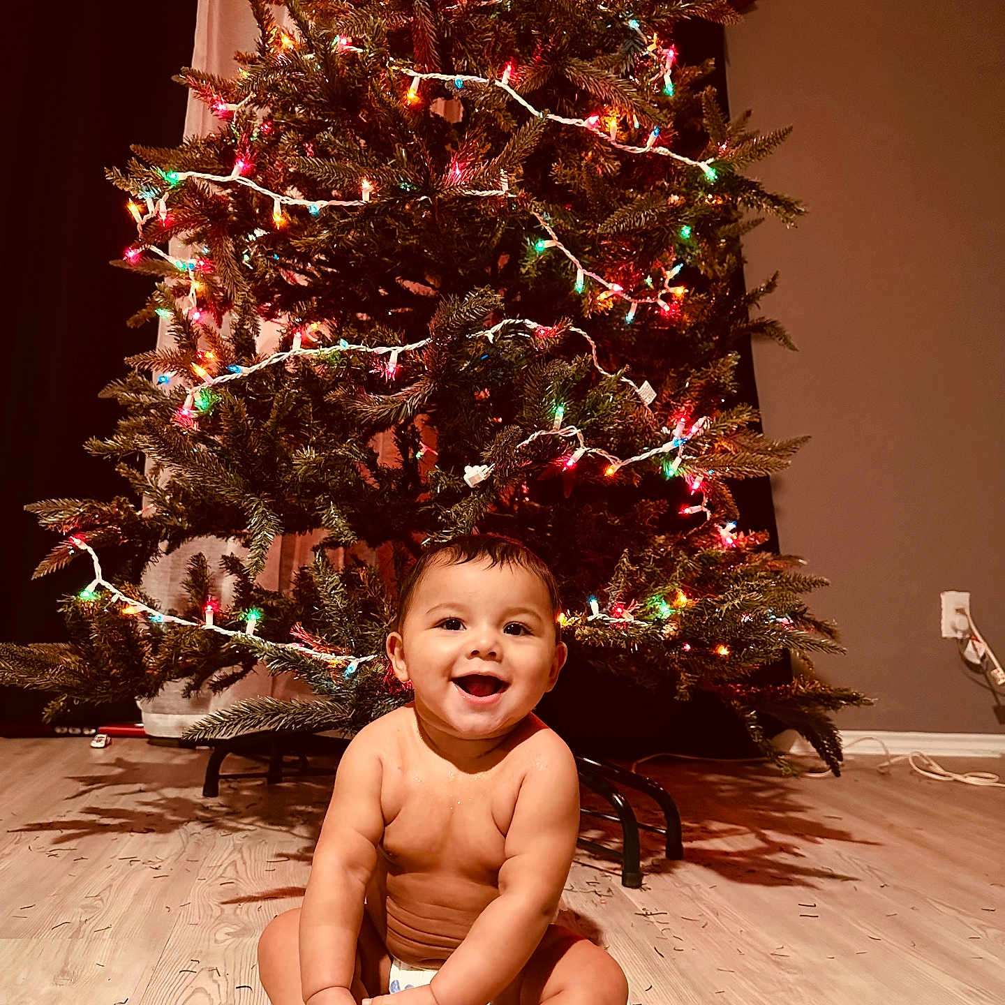 Joseph is registered to the contest to win money with this photo: baby, babylaughing, christmas, christmasdecorations, christmastree, conifer, diaper, face, festival, happy, head, lighting, person, photography, plant, portrait, sitting, smile, tree, wood