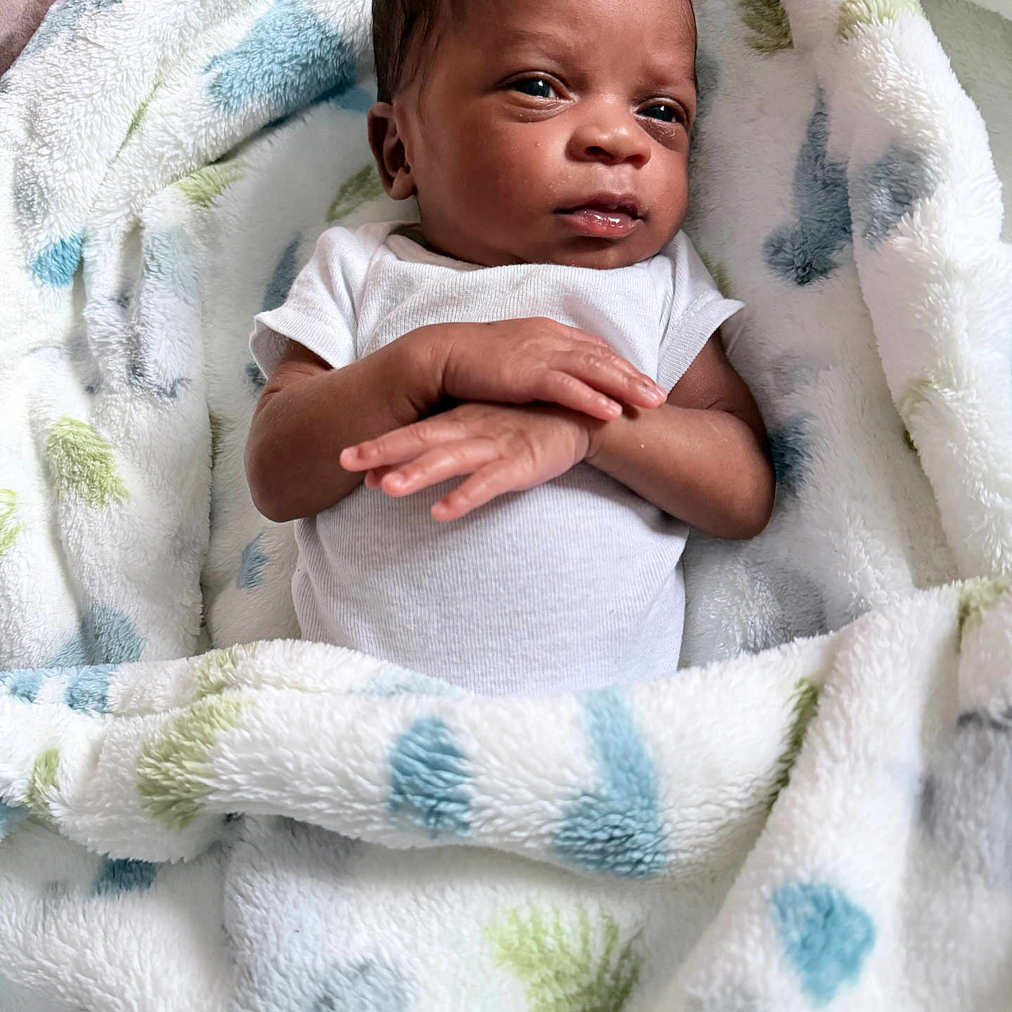 Jaxon